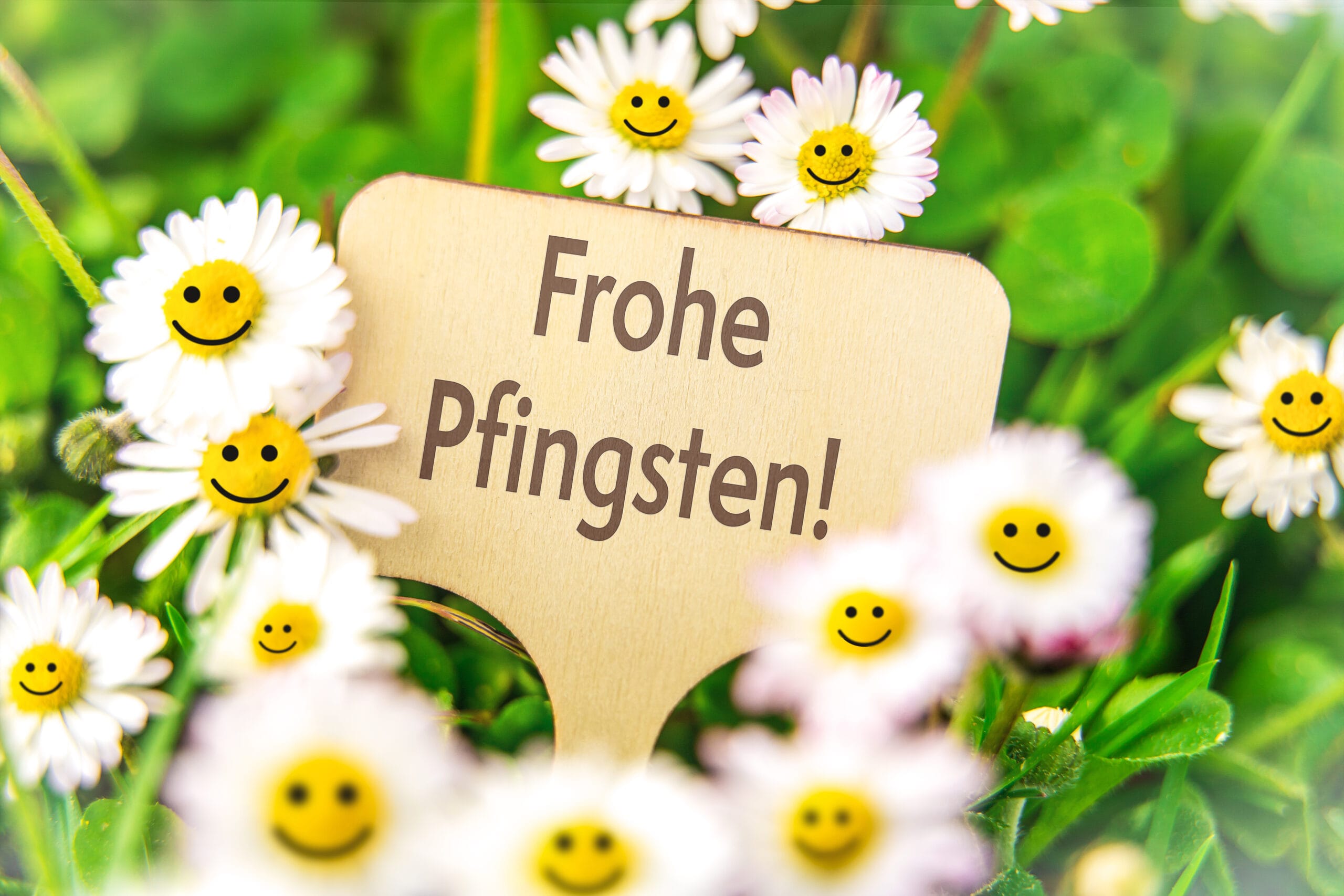 Lustige Pfingstgrüße frohe Pfingsten: Humorseiten & Tipps