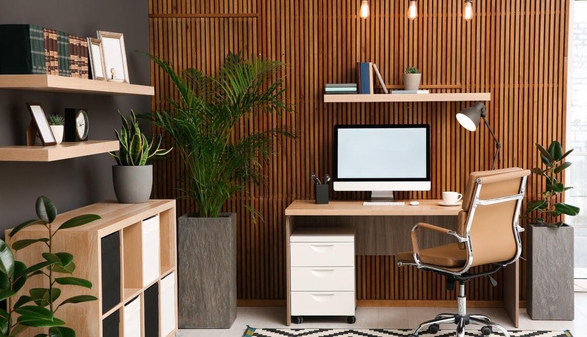 study apartments